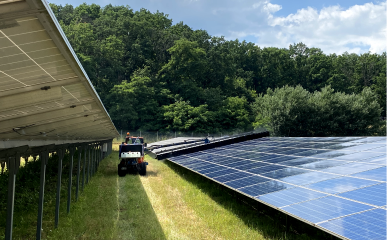 Solarpark Reinigung